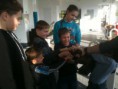 /album/fotogalereya/img-0139-jpg/